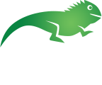 Nadační fond Leguán